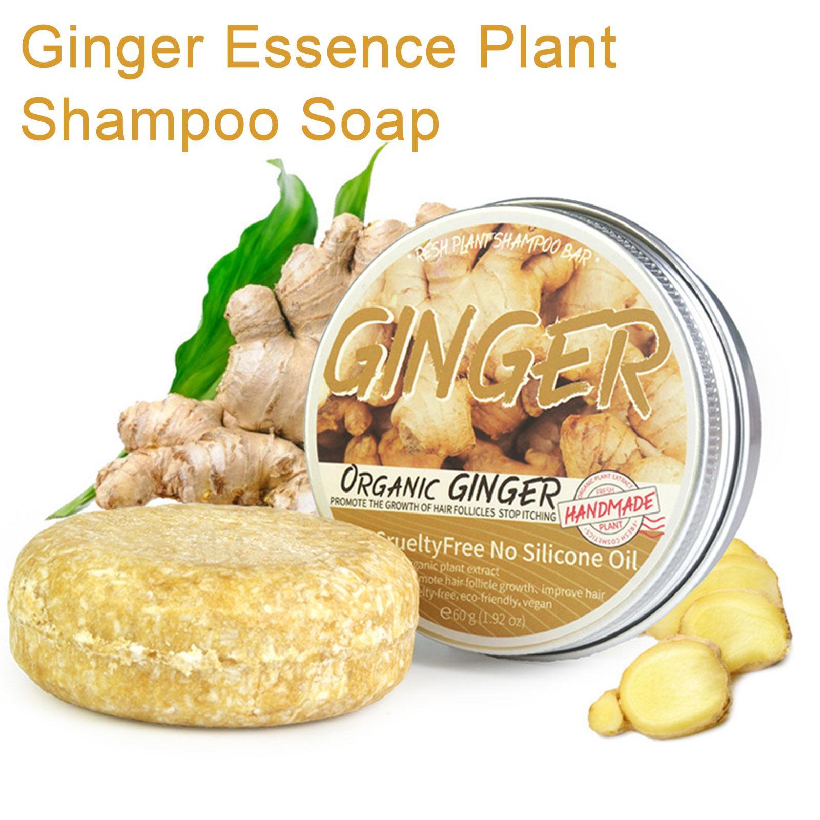 Sampo sabun jahe poligonum, sa - Hair Care Organic ulasan dan harga