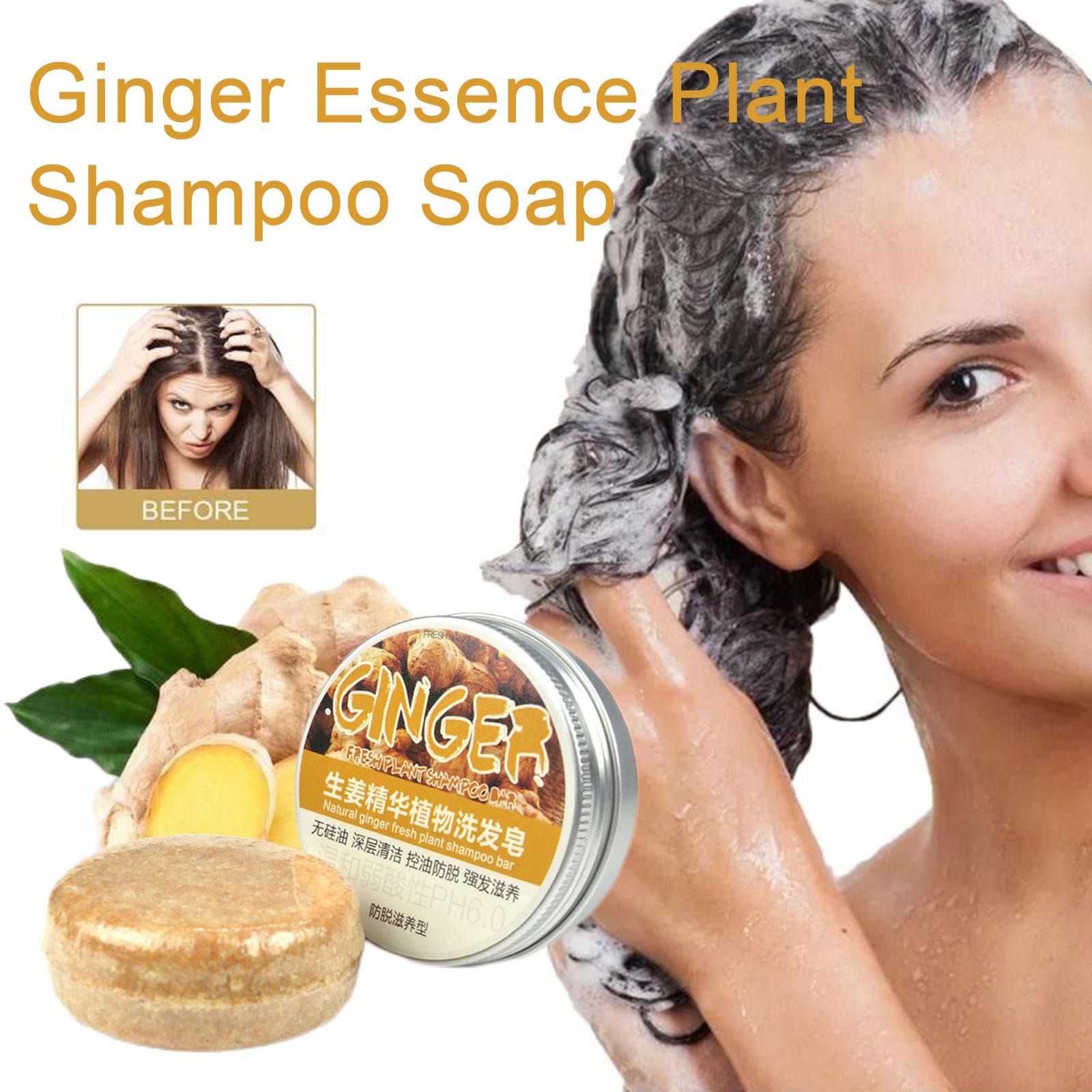 Sampo sabun jahe poligonum, sa - Hair Care Organic ulasan dan harga